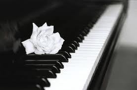 I love to play sports, write music, and play piano!