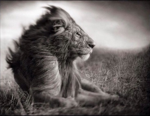 Instar1998's profile picture. 저의 철학은 아주 간단합니다. 
최고를 기대하는 이들을 위해 최선을 다하는 것입니다.