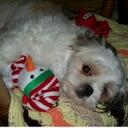 Robin Dunn - @Robin_RN - Twitter