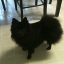 Alyssa Rubio C. - @AlyssaLUV73 - Twitter