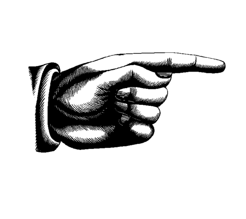 igoook's profile picture. 