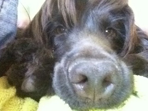 EmiFla17's profile picture. 