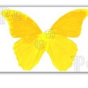 Melva ward - @AuntMelva - Twitter