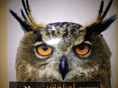 pjotrkamp's profile picture. MediaAdviesSales / OnlinePrint / BachBuxterhudeBarock / BicycleVogels / KoksmaatjeMerel / Lamm / ProjectSaar /