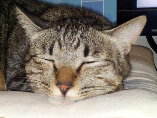 noratasuke's profile picture. 福岡在住, 男性 ,思った事をストレートにぼやきます。