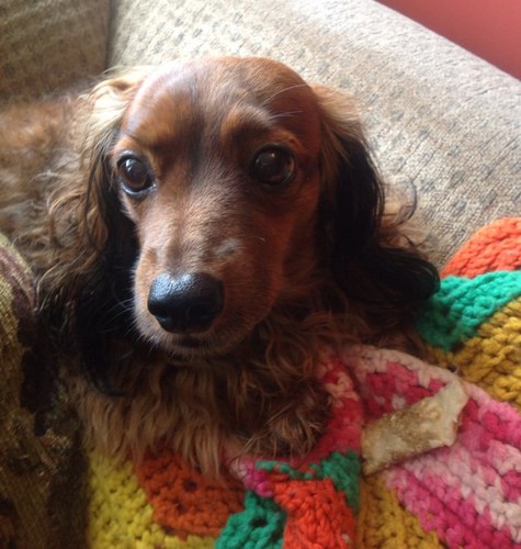 OpheliasOwn's profile picture. An unconventional educator who embraces the responsibility of helping kids find their confidence and their inner warrior.