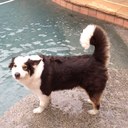 Aaron Albrecht - @ShadowedFacade - Twitter