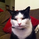 Susan Jane walker - @sjwalker25 - Twitter