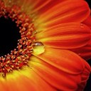 Wendi Murphy - @MurphyWendi - Twitter