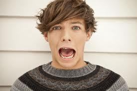 Biggest Directioners! Just making fun of what we hear everyday.