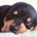 amy yau - @amyyau3 - Twitter