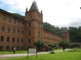 CederjDepressao's profile picture. Pra você que já estudou ou estuda nessa instituição. Pra você que gosta de curtir essa vida de estudar a distância ou não, cederjdadepressao@gmail.com