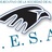 cesa_itj's profile image