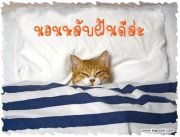 Gigjaa's profile picture. 