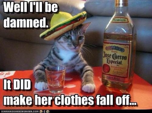 ynotnice's profile picture. 