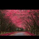 lisa climer - @ClimerLisa - Twitter