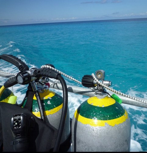 FranciscoFdez's profile picture. 