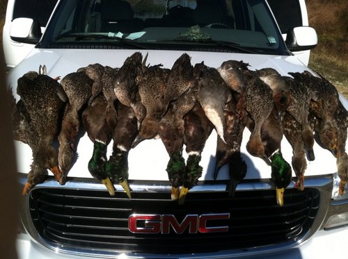 jakemaag's profile picture. 