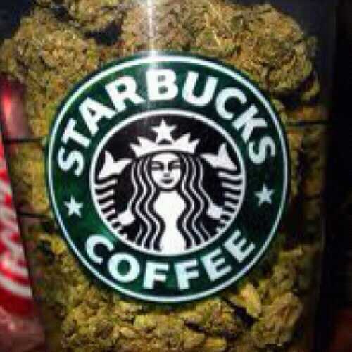 ♡#StonerChicks #HotMess #TeamLesbian♡
