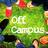 OffCampusEats's profile image