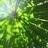 kerin_fogarty's profile image