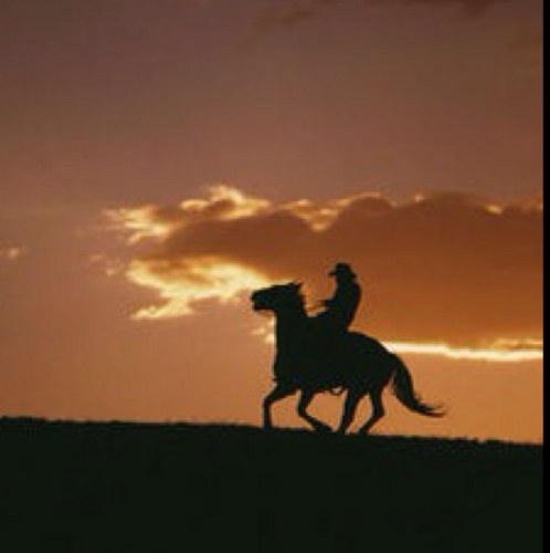 EquestrianOwned's profile picture. Daily equestrian quotes for all types of riders. Because if theres anything we have in common, it's our unconditional love of horses.