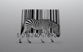 naviittoo's profile picture. It's best to always have a purpose in the things you do O_p_e_n__ U_r__M_i_n_d_s__!__