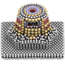 evergeen1's profile picture. 