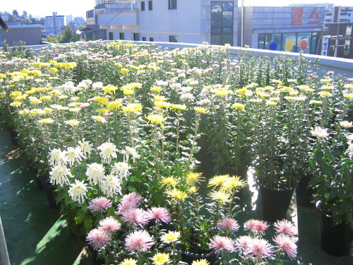 paldal_godeung's profile picture. 수원시 팔달구 고등동주민센터 대표 트위터입니다. 많은 관심과 참여부탁드립니다.