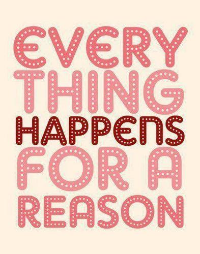 KALRAVIBHU's profile picture. 