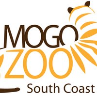 Mogo Zoo (@mogozoo) 's Twitter Profile