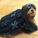 Olive Morris - @MorrisOlive - Twitter