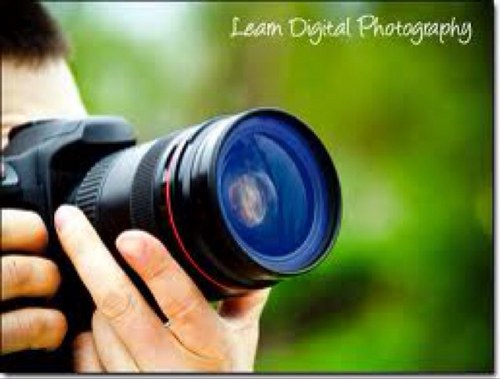 nvpichick's profile picture. Mom.  Teacher. Photographer.