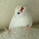 エリカさんのプロフィール画像