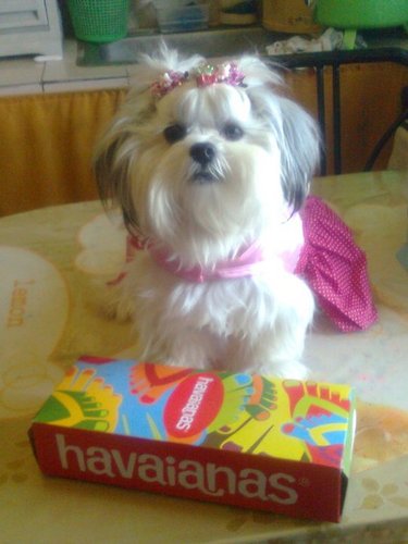 Aye_Patch's profile picture. 