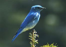 Folback_promote's profile picture. AUTO FOLLOW BACK