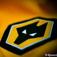 Andrew Pukalak ๐ด๓ ง๓ ข๓ ฅ๓ ฎ๓ ง๓ ฟ๐บ๐ฆ (@pukkawolf) 's Twitter Profile