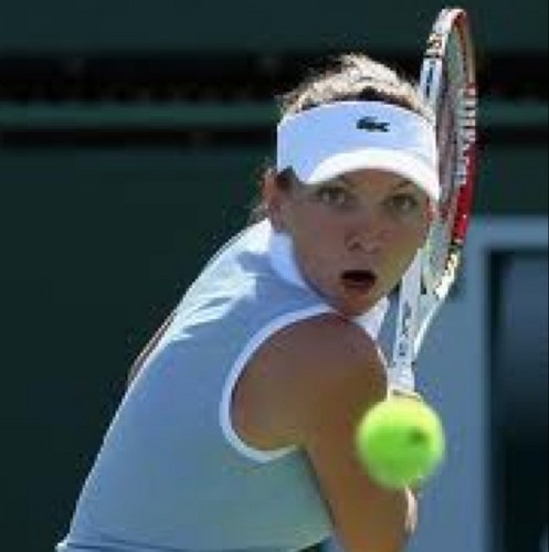 Simona_Halep91's profile picture. 
