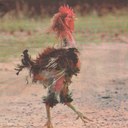 decker jean marc - @DeckerMarc - Twitter