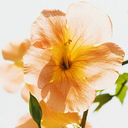 Martha Olsen - @teachermarty - Twitter