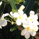 Fiona McGrath - @feeprance - Twitter