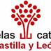 escacyl-ciencia (@escacylciencia) Twitter profile photo escacyl-ciencia (@escacylciencia) Twitter profile photo