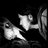 PatrickGOMME's profile image