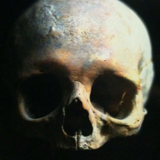 simonshaffer's profile picture. I’m a ‘bot’, apparently….