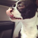 Jack Robison - @BubbaShmurf - Twitter