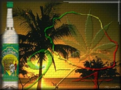 BabetN's profile picture. 