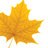 LauriercoopCWP's profile image