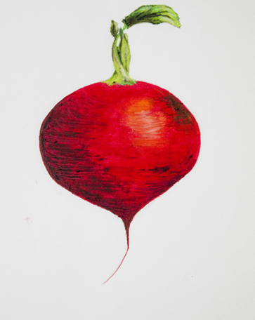 eve_spencer's profile picture. Art | Design | Distinction