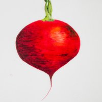 eve spencer design (@eve_spencer) 's Twitter Profile Photo