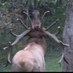 Bob (@discodog1969) Twitter profile photo Bob (@discodog1969) Twitter profile photo